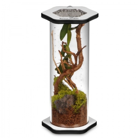 Terrario Spiders Tube Tall200 - Akrüülterraarium