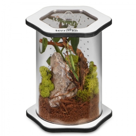 Terrario Spiders Tube Med150 - akrüülist terraarium