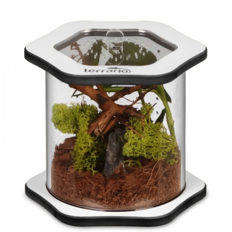 Terrario Spiders Tube Med100 - akrüülist terraarium