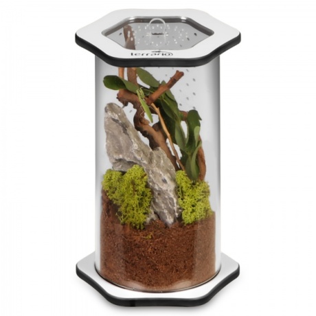 Terrario Spiders Tube Med200 - akrüülist terraarium