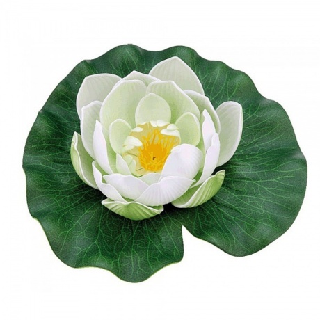 Pontec PondoLily White – ujuv vesiroos