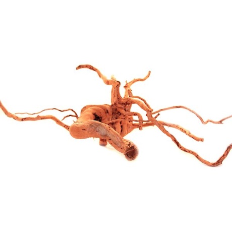 Driftwood Red Moor puit - M
