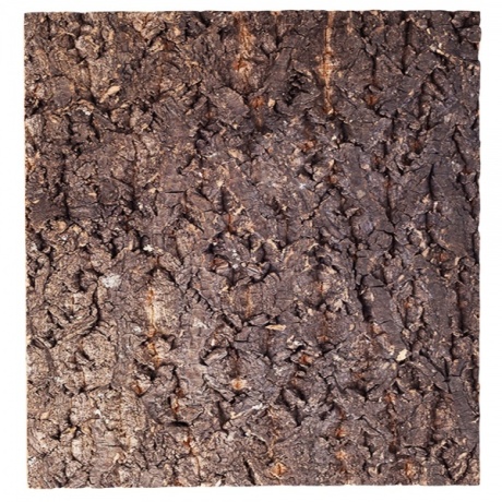 Repti-Zoo Big Tree Background - koore taust terraariumile 20x20 cm