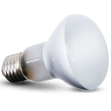 Repti-Zoo Beam Spot 50W - kohtsoojenduslamp