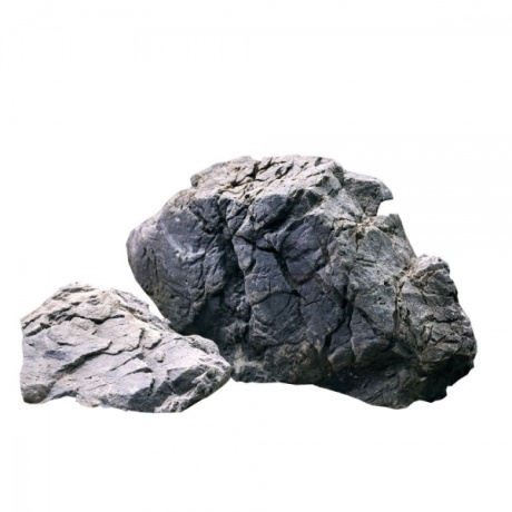 Frodo kivi kivi KG