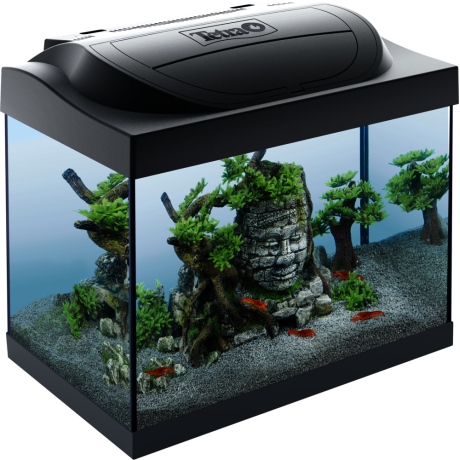 Akvaarium Tetra Starter Line LED 30L