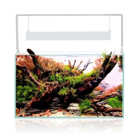 Akvaarium Aquael ULTRASCAPE 60 + Snow alus