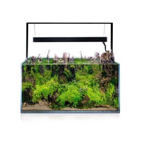 Aquael akvaarium ULTRASCAPE 90 Forest + stend