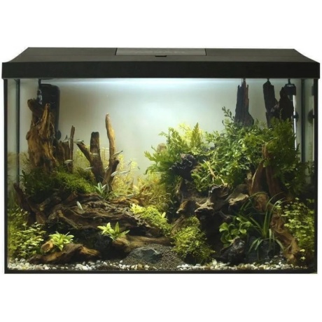 Aquael LEDDY60 XL Day&Night - must