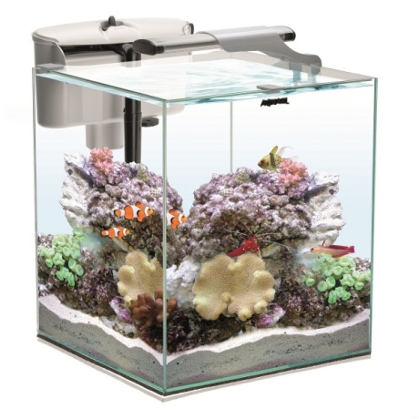 Akvaariumi komplekt Aquael Nano Reef DUO Marine valge