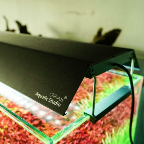KARDINAD CHIHIROS VIVID MINI LAMPILE
