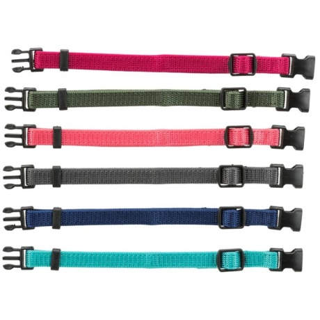 Juunior kutsika kaelarihma komplekt, M-L: 22-35cm/10mm, fuksia, grafiit, indigo, mets, korallid, ookean