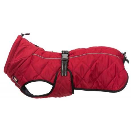 Minot koerakasukas XS: 30 cm, punane