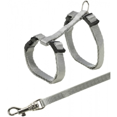 Kassipoegade rakmed Junior koos rihmaga, 19-31 cm/8 mm, 1,20 m