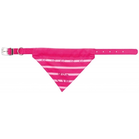 Nailonist kaelarihm salliga, XS-S: 25-31 cm/15 mm, fuksia