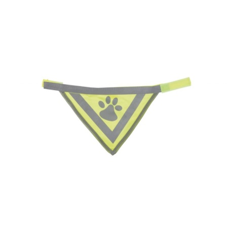 Kaelarihm salliga koertele Safer Life L-XL 43-60cm