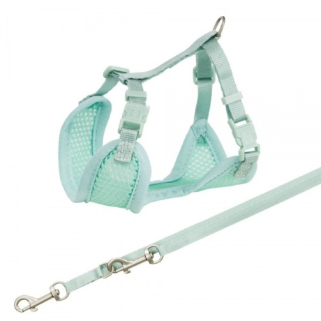 Pehmed rakmed kutsikatele Juunior kutsikas jalutusrihmaga, 26-34 cm/10 mm, 2,00 m, piparmünt