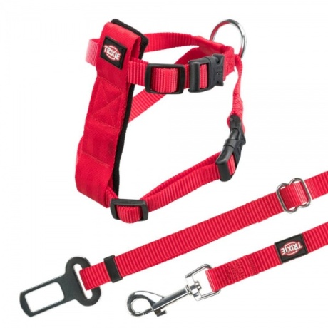 Auto rakmed kassidele, 20-50 cm/15 mm, punased