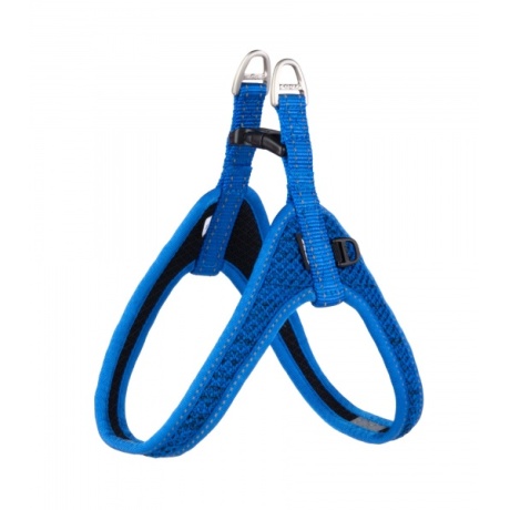 Rakmed Rogz NiteLife Fast Fit Tuig S/M 47cm sinine helkuriga