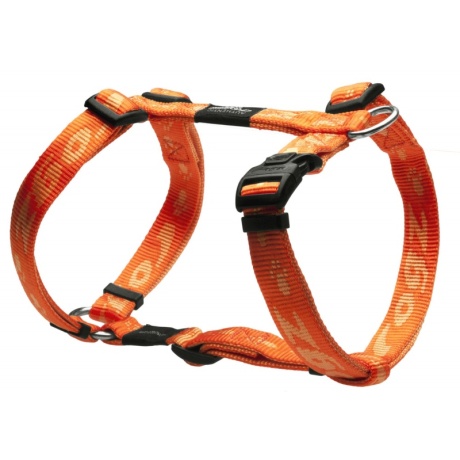 Rakmed Rogz K2 20mm-3/4 oranž