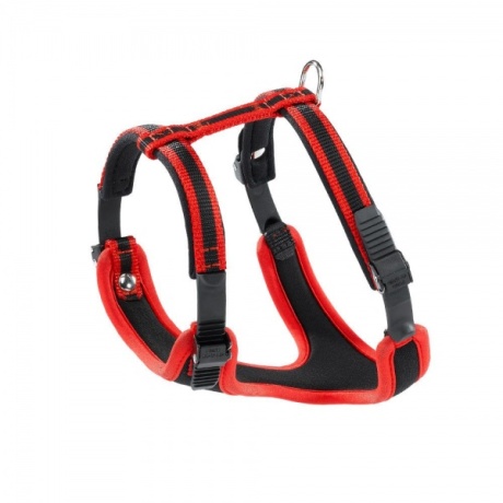 Rakmed Ergocomfort XS punane