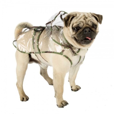 Koera vihmamantel Raincoat 31
