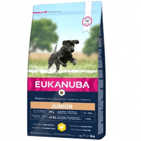 EUKANUBA Juunior kanaga suurtele koertele 15 kg