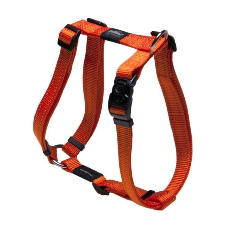 Rakmed Rogz H Lumberjack XL 60-100cm oranžid