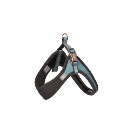 Rogz Urban Fast Fit -valjaat S/M 38-44cm, turkoosikuu