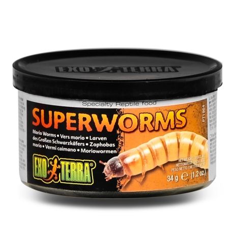 EXO TERRA Superworms - консервированный корм для мокриц