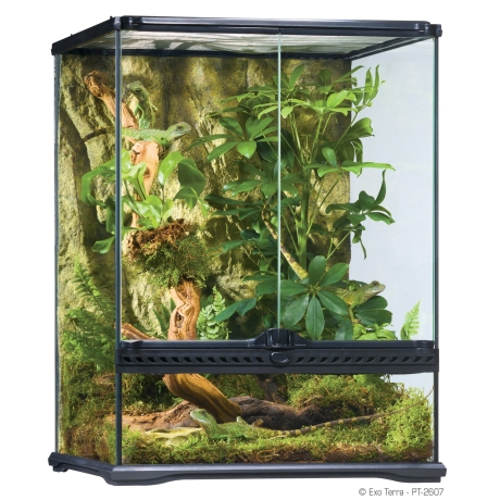 EXO TERRA Klaasterraarium Small Tall (45x45x60cm)