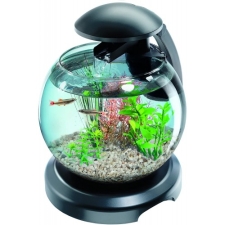 Akvaarium Tetra Cascade Globe, 6,8 l