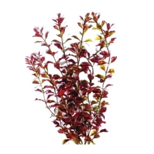 Tetra Plantastics искусственное растение Red Ludwigia S - 15sм