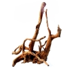 malaysian-driftwood-xl-korzen-40-60cm (4).jpg