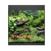 Akvaarium OASE StyleLine 85 Must