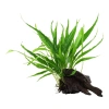 10204-2-38.jpg.webp