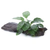10234-5-8-266.jpg.webp