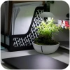 3613-chihiros-tiny-terrarium-3.jpg.webp