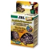 3687-jbl-schildkroetensonne-t-2.jpg.webp