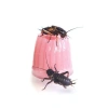 3728-komodo-jelly-pot-calcium-7.jpg.webp