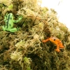 3733-komodo-habitat-moss-3l-z-3.jpg.webp