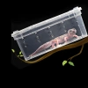 3844-terrario-terrarium-fauna-18.jpg.webp
