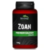 3879-terrario-bozza-calcium-w-29.jpg.webp