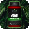 3879-terrario-bozza-calcium-w-30.jpg.webp