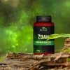 3879-terrario-bozza-calcium-w-31.jpg.webp