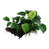 4014-2-7-559.png.webp