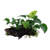 4014-3-6-536.png.webp