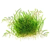 4067-1-27-14.jpg.webp