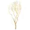 4313-korzen-dekoracyjny-drift-wood.jpg.webp