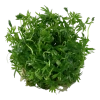 4314-3-3-32.png.webp
